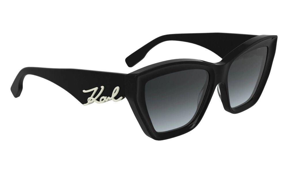 Karl Lagerfeld KL6179SN 1