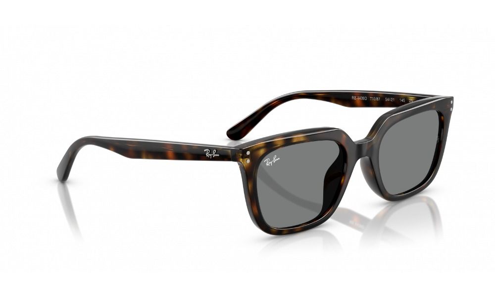Ray-Ban RB4439D 710/87