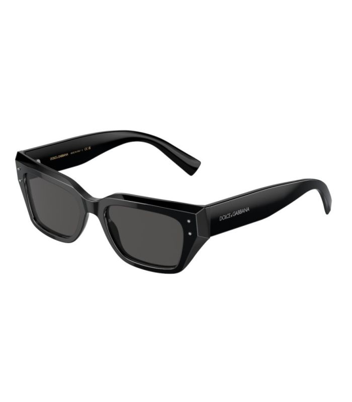 Dolce & Gabbana DG4462 501/87