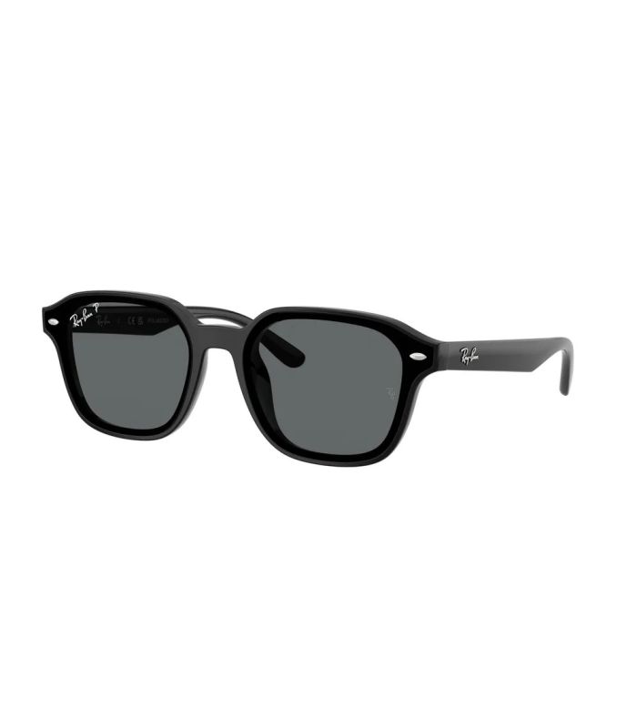 Ray-Ban RB4458D 601/81 Polarized