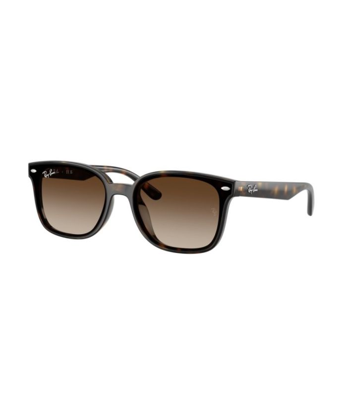 Ray-Ban RB4461D 710/13